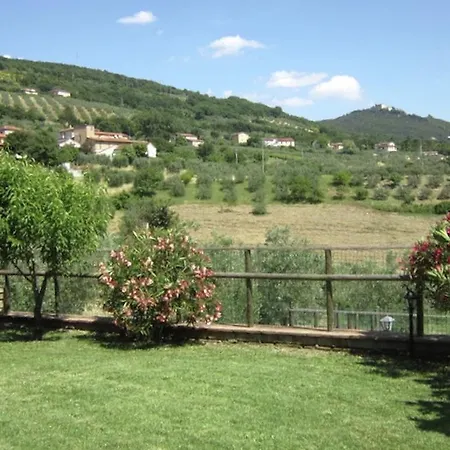 Erba Montecchio (Terni)
